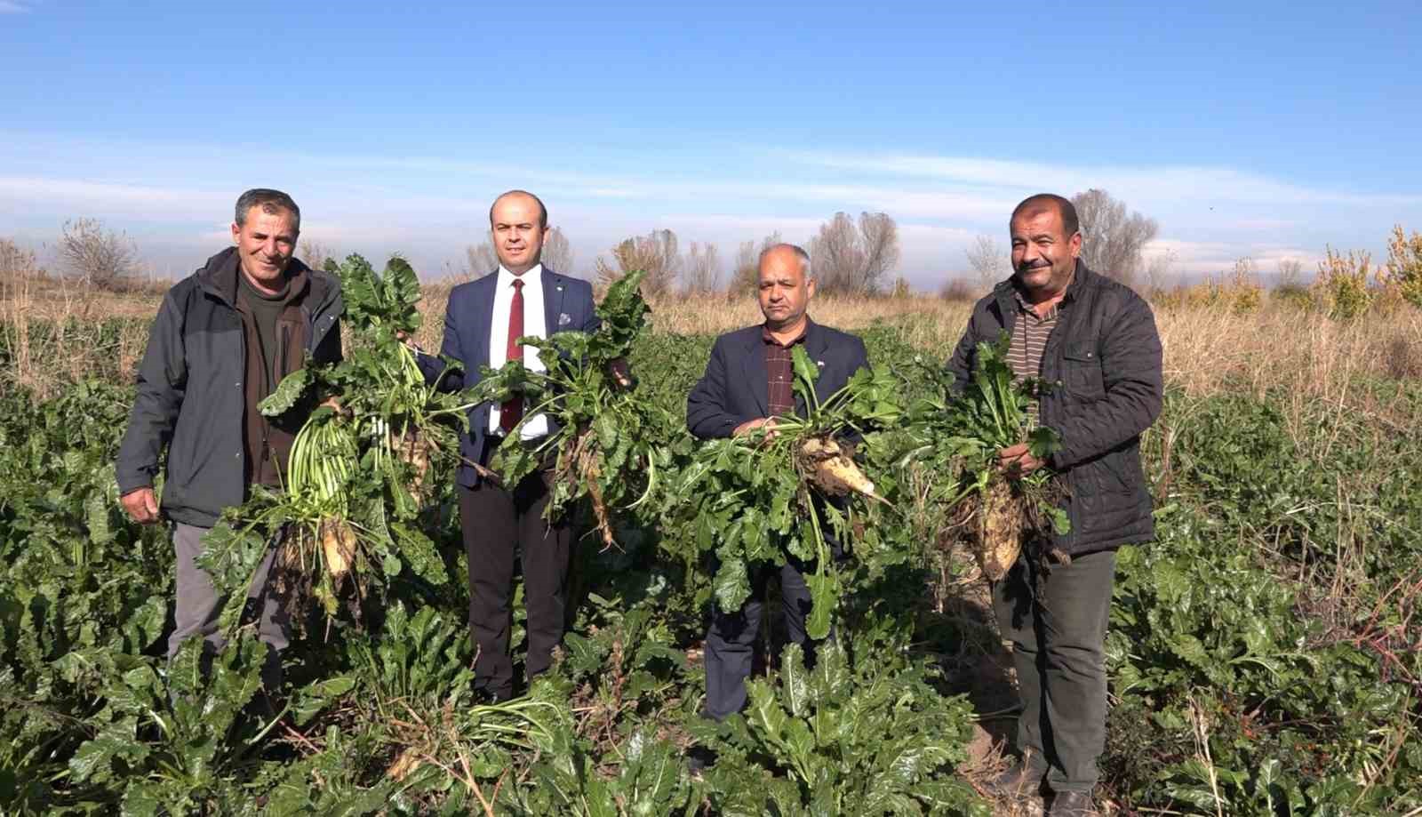 Iğdır’da şeker pancarı hasadı başladı