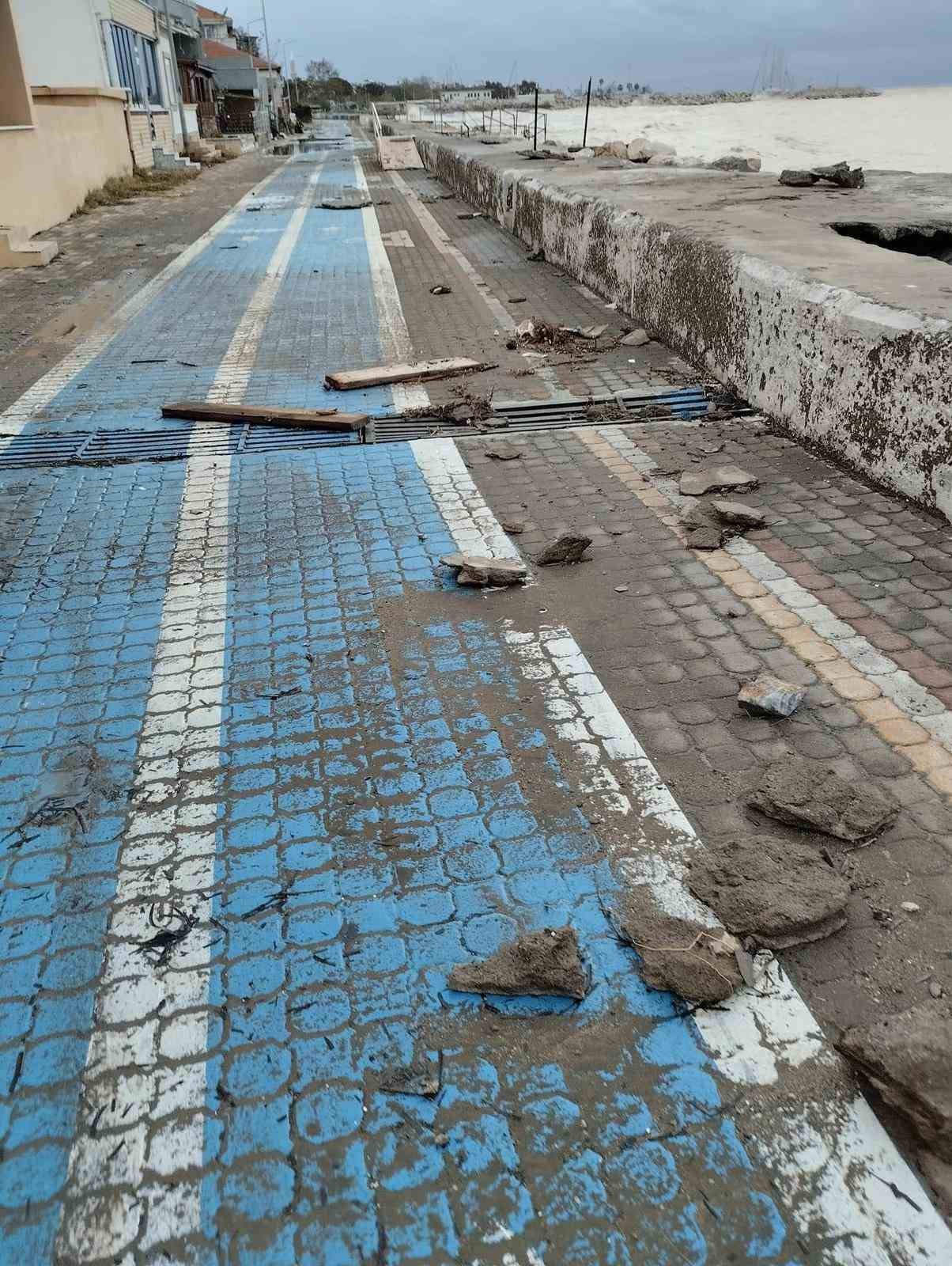 K&uuml;&ccedil;&uuml;kkuyu&rsquo;da fırtına sonrası &ouml;l&uuml; yunus balığı karaya vurdu
