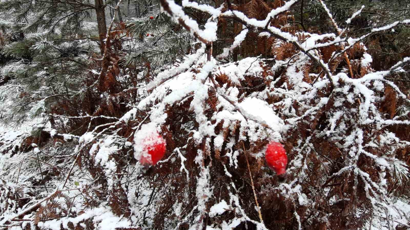 Bolu’nun yüksek kesimlerinde kar yağışı başladı
