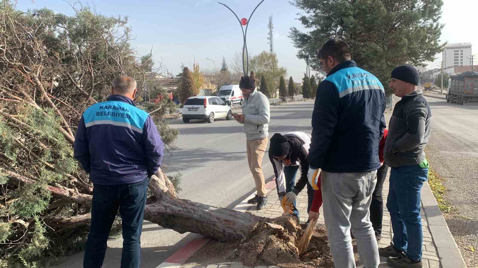 Karaman’da şiddetli rüzgâr ağacı kökünden kırdı
