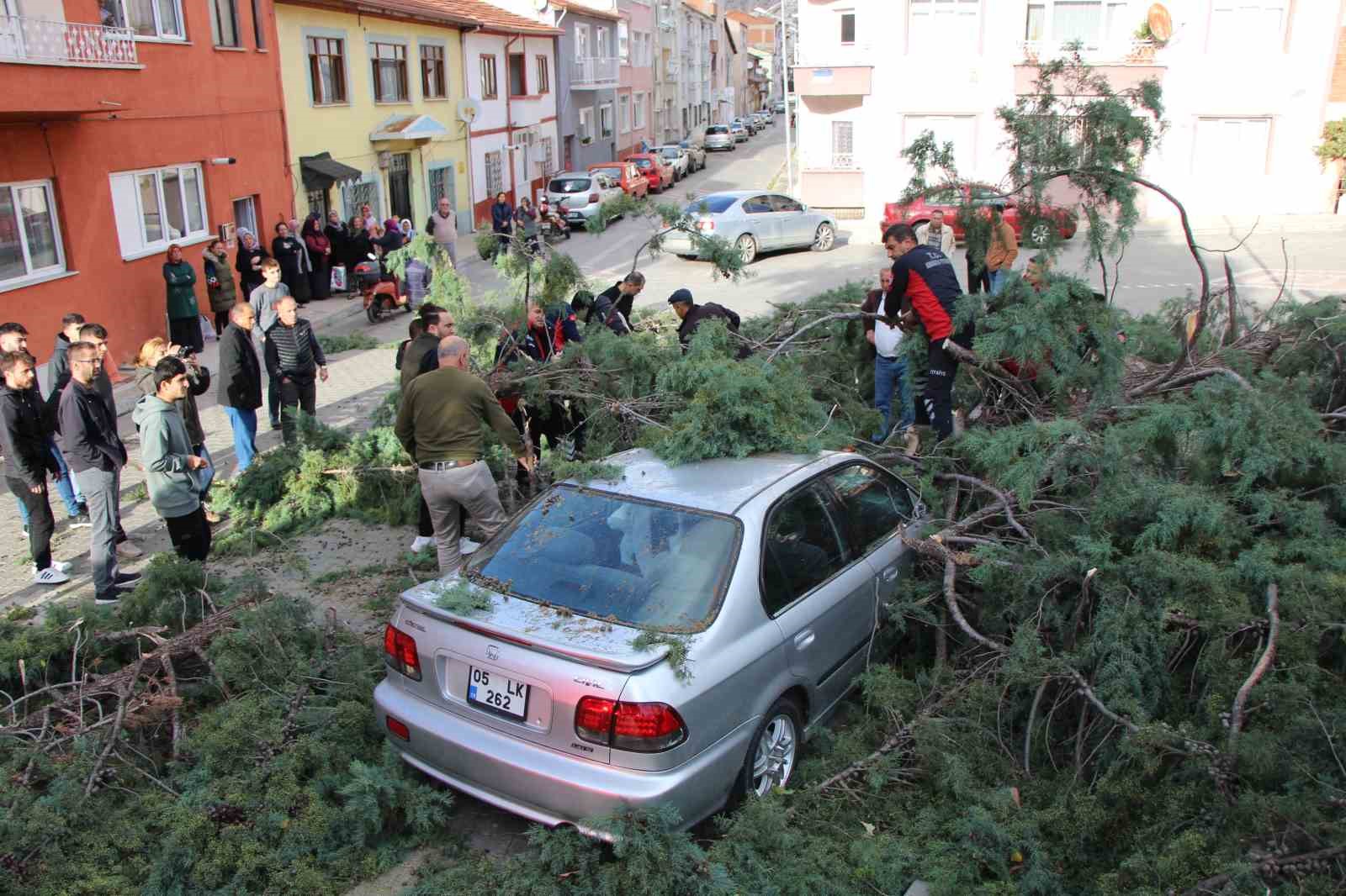 Fırtınada üstüne ağaç devrilen otomobildeki 3 genci baltayla kurtardı
