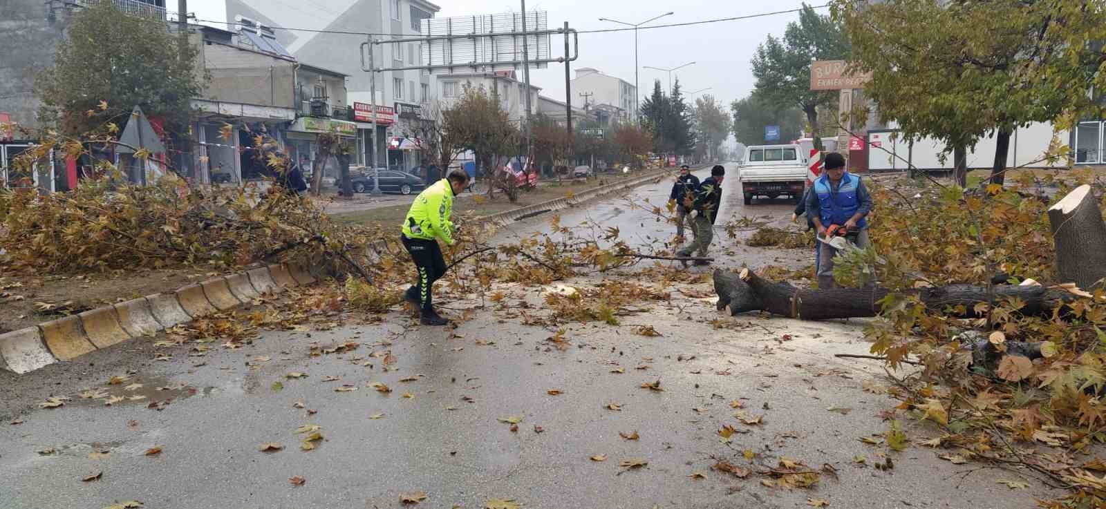R&uuml;zgar nedeniyle devrilmek &uuml;zere olan ağa&ccedil; korkuttu
