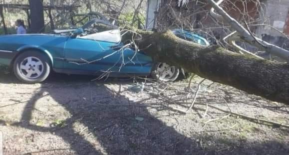 Ordu’da fırtına hayatı olumsuz etkiledi