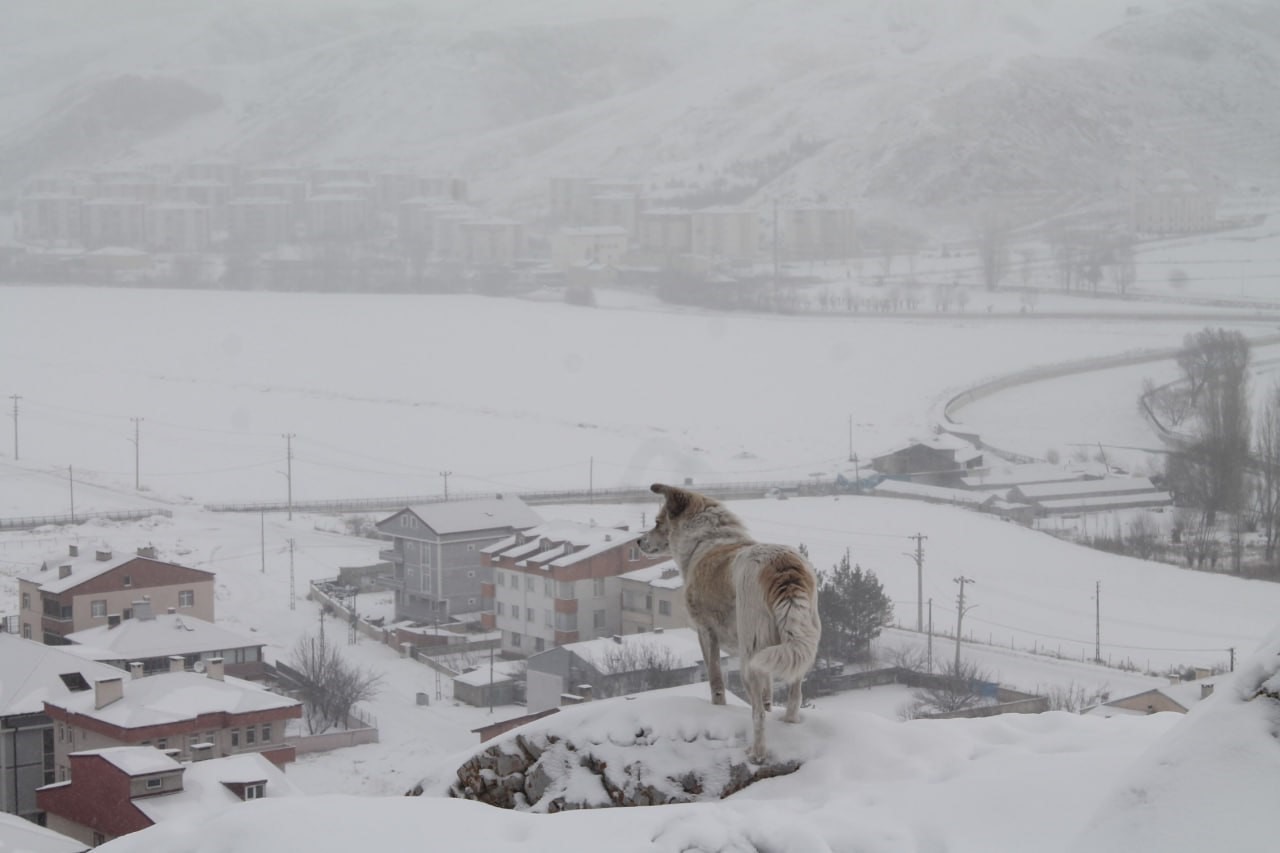 Bayburt’un yüksek kesimlerinde kar yağışı etkili oldu