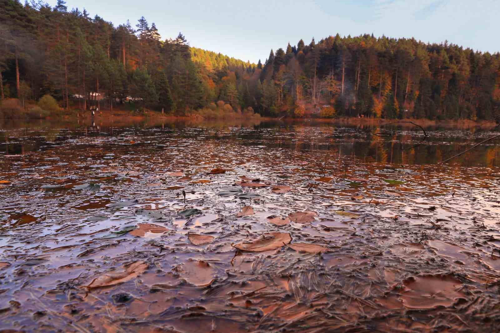 Küçükelmalı Tabiat Parkı’nda görsel şölen