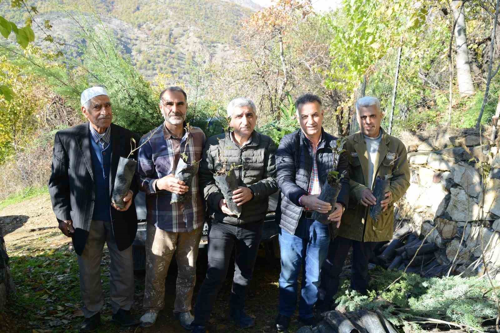 Diyarbakır’da üreticilere fidan desteği