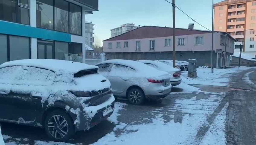 Patnos beyaza b&uuml;r&uuml;nd&uuml;
