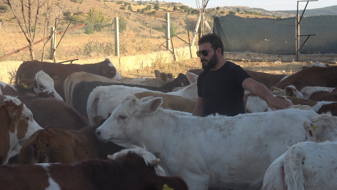 Hobi olarak başladı, Türkiye’nin dört bir yanına hayvan satıyor
