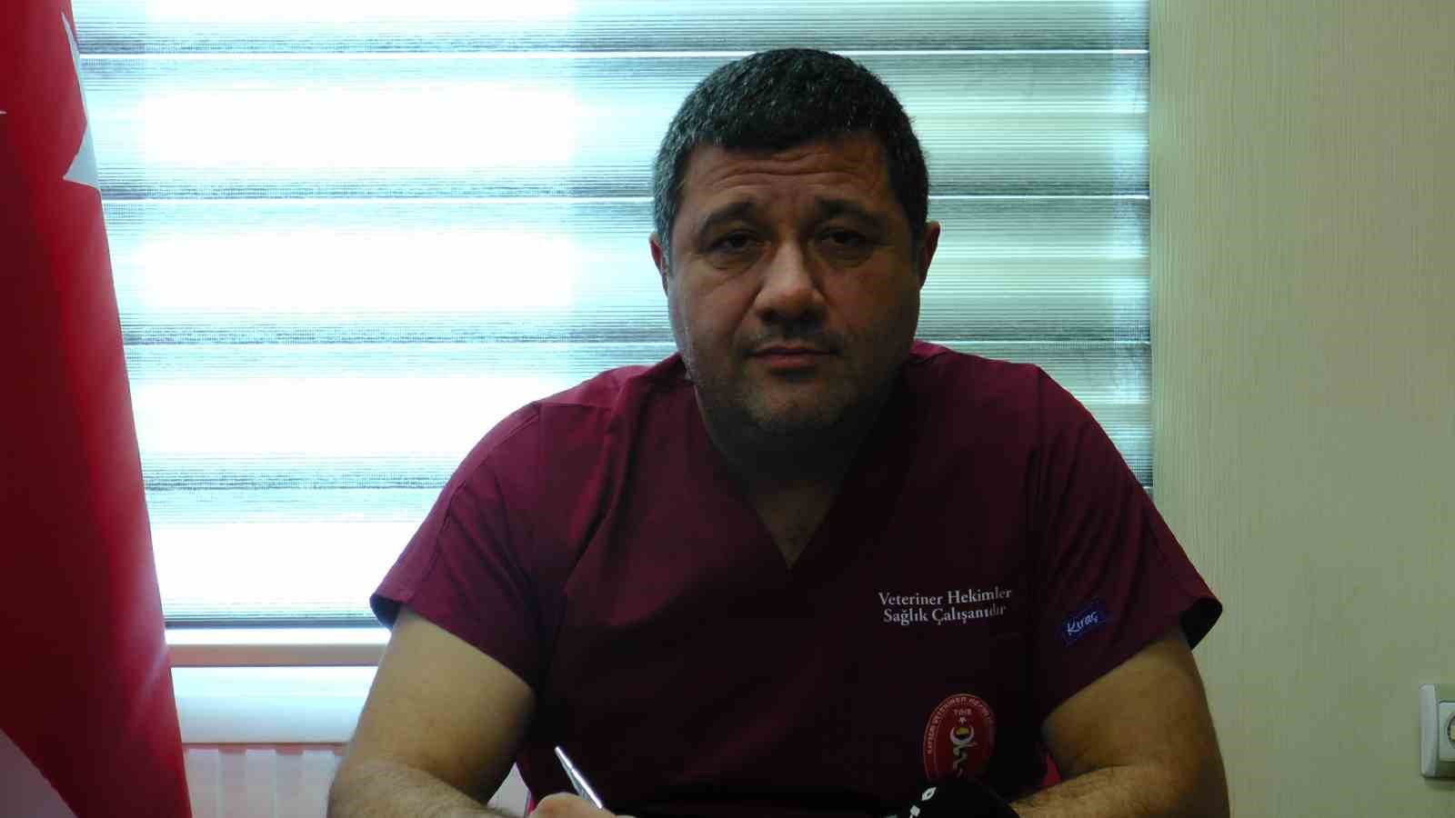 Uyuz için kedilerde hijyene dikkat
