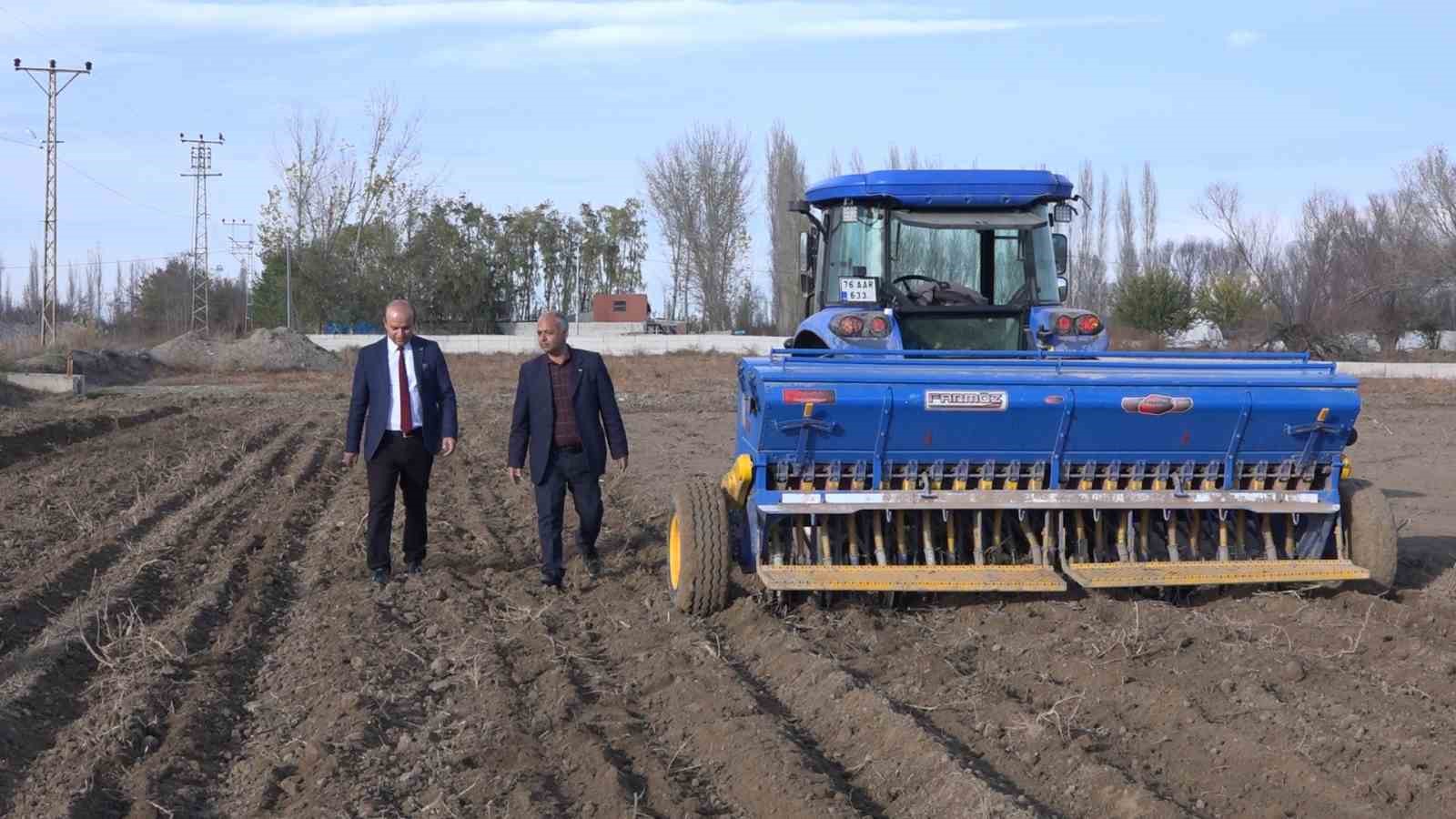 Iğdır’da yerli ve milli buğday ekildi