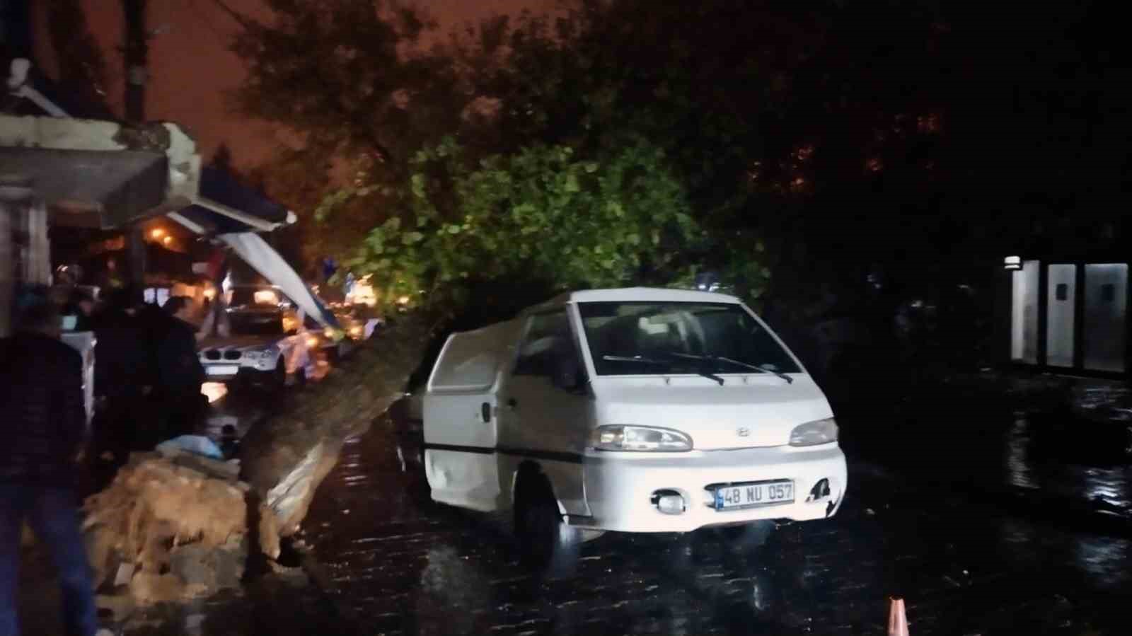 Üzerine ağaç düşen aracın sürücüsü yara almadan kurtuldu