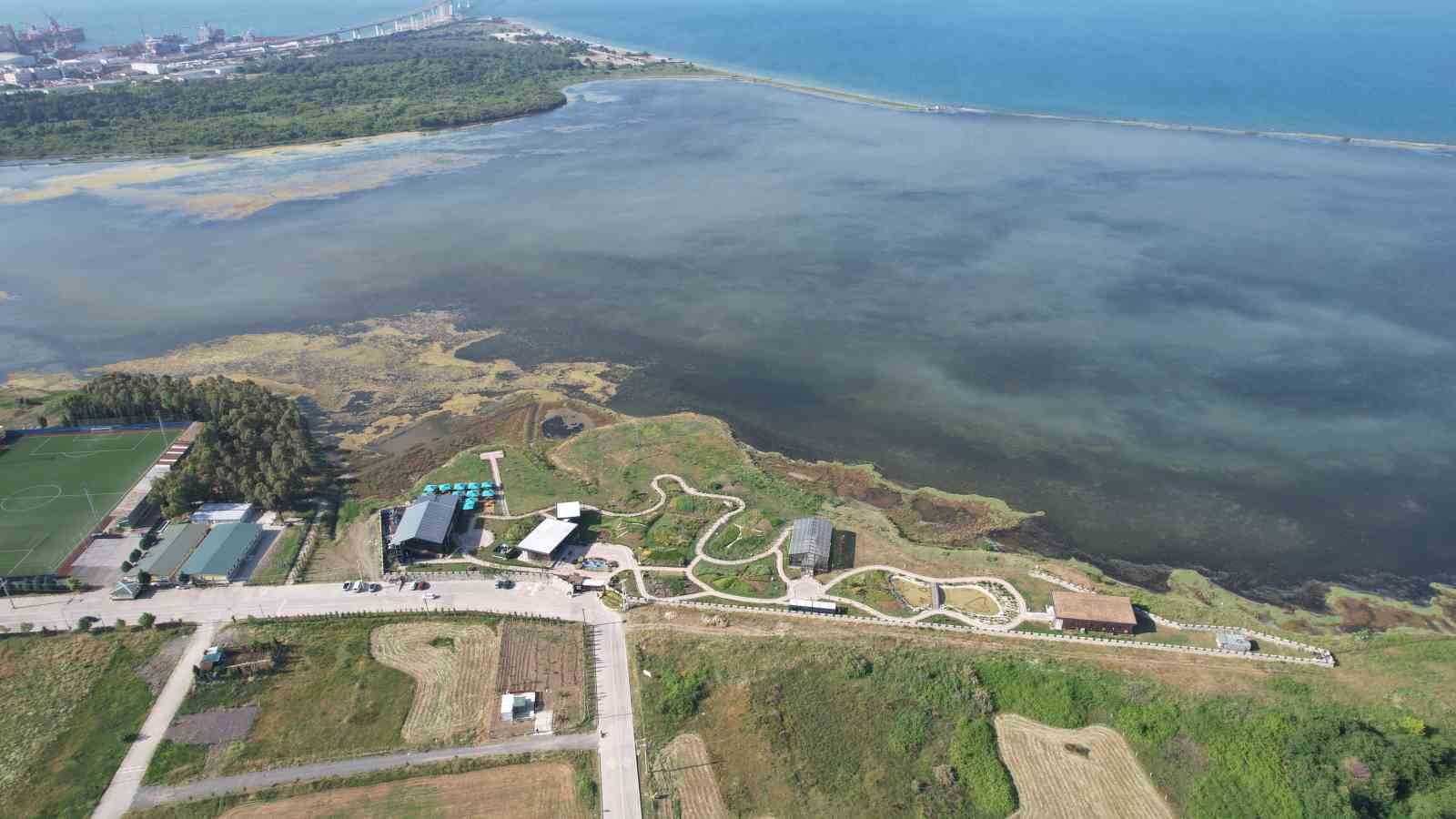 Çevresel dönüşümün simgesi, Hersek Lagünü