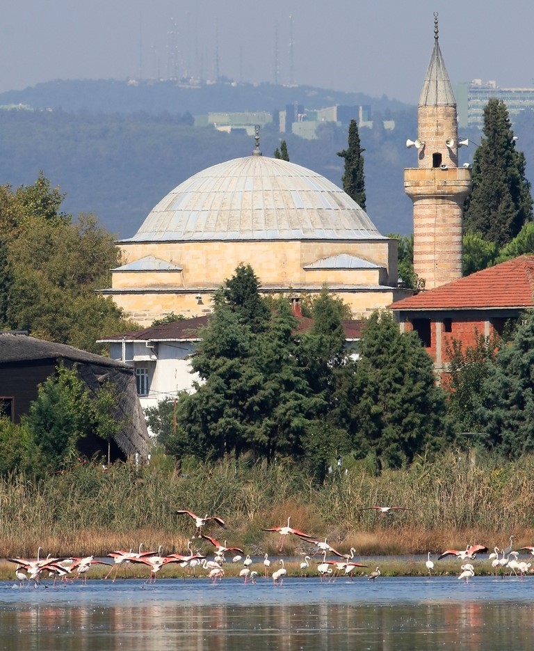 &Ccedil;evresel d&ouml;n&uuml;ş&uuml;m&uuml;n simgesi, Hersek Lag&uuml;n&uuml;
