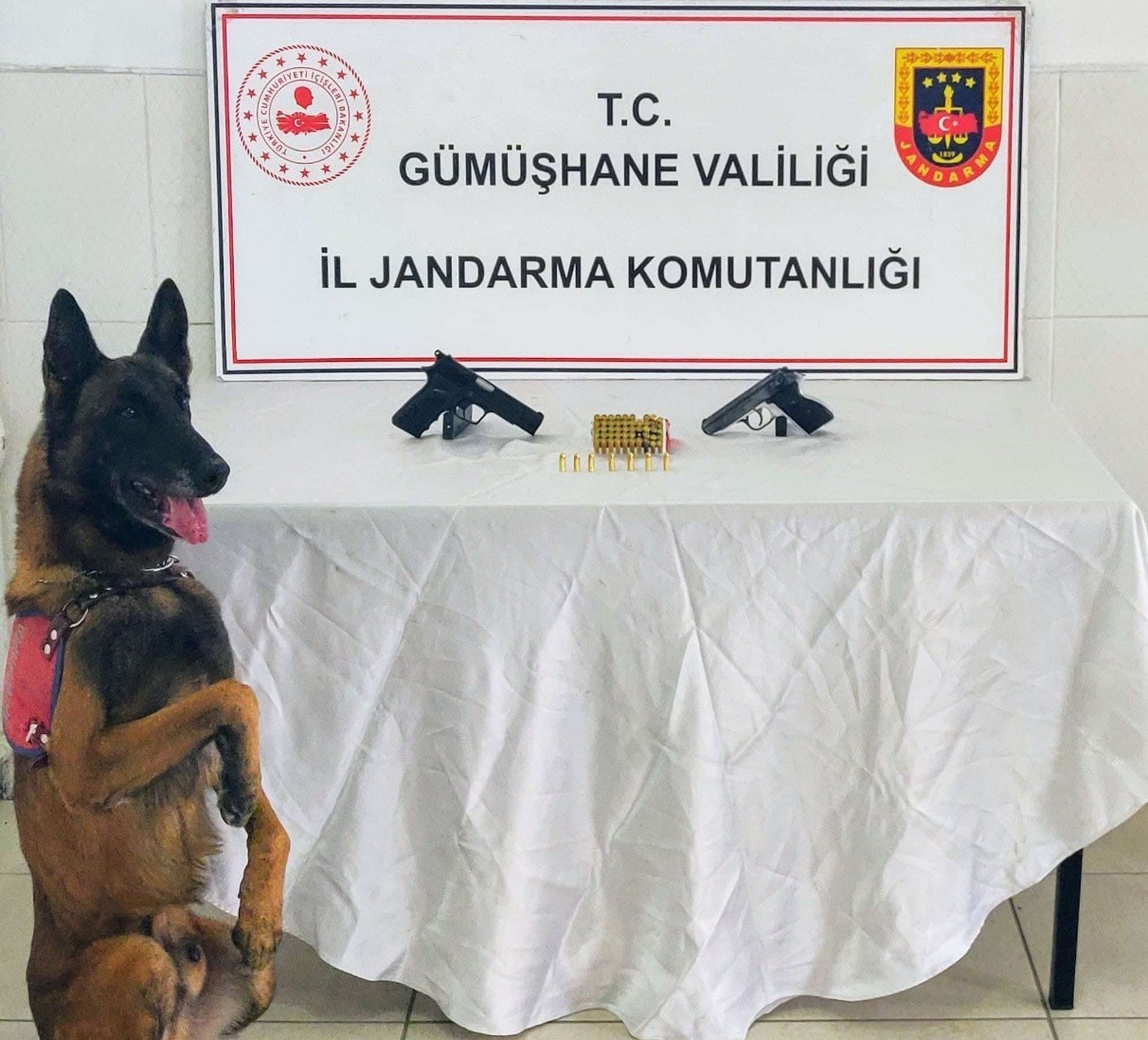 Gümüşhane’de ruhsatsız tabanca ve kaçak alkol operasyonunda 2 kişi yakalandı