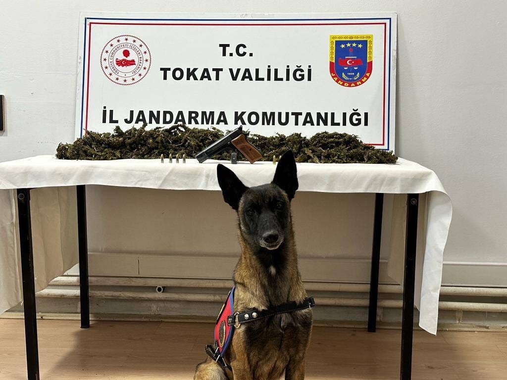 Tokat&rsquo;ta bir ara&ccedil;ta 2 kilo 300 gram esrar ele ge&ccedil;irildi
