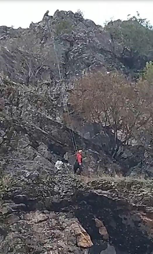 Batman’da 4 gündür kayalıklarda mahsur kalan keçiler AFAD ekiplerince kurtarıldı