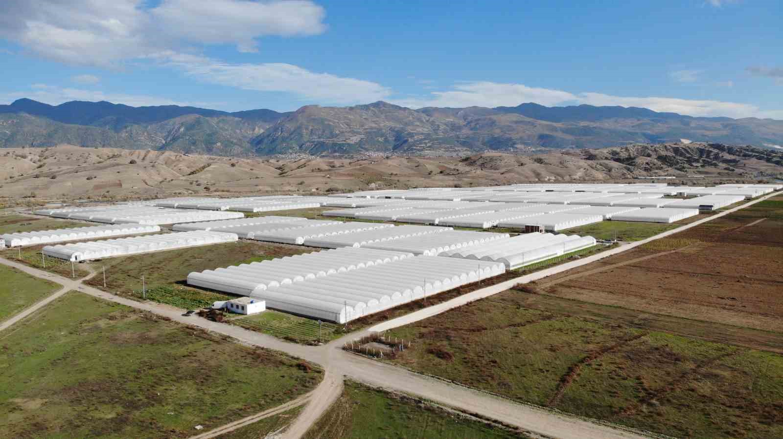 Bu renk c&uuml;mb&uuml;ş&uuml; ve mis koku, ayda 15 milyon kazandırıyor
