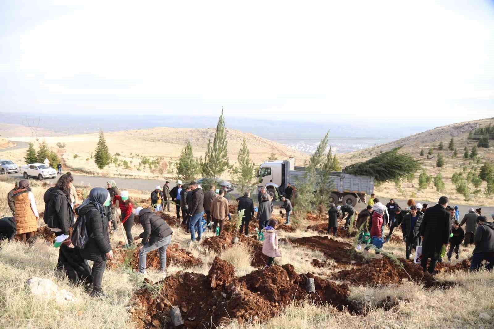 DTSO AB Bilgi Merkezi Ergani&rsquo;de 10 bin ağa&ccedil; dikti
