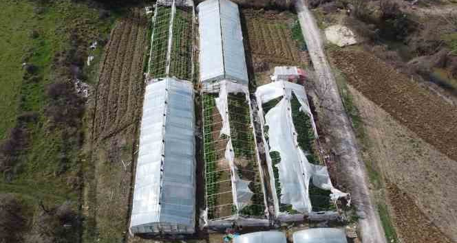 Yalova’da yenilenecek eski seraların kontrolleri devam ediyor