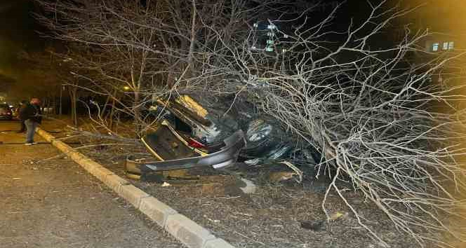 Nevşehir’de kontrolden çıkan araç ağaca çarptı: 1 yaralı