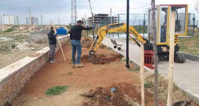 Artuklu Belediyesi kenti yeşillendiriyor
