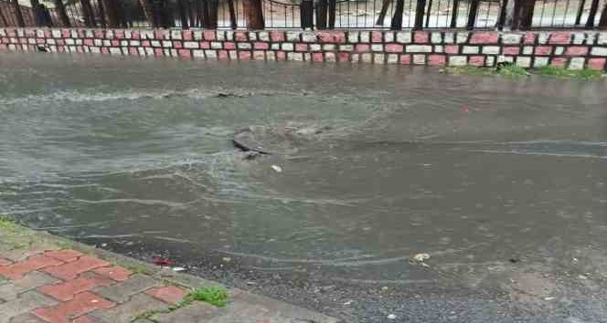 Nusaybin’de belediyenin çalışmaları yetersiz kaldı, vatandaş isyan etti