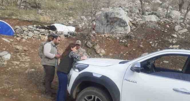 Şırnak’ta yaban keçisi avlayan şahsa 260 bin 900 TL ceza