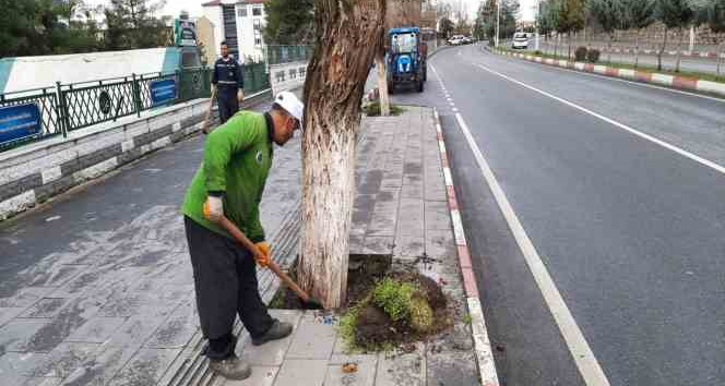 Siirt’te park ve bahçelerde temizlik ve bakım çalışmaları başlatıldı