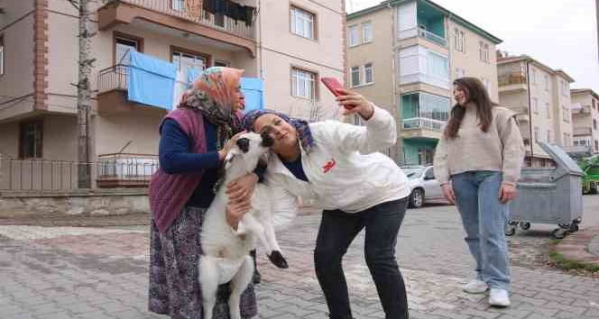 Kuzusu şehrin maskotu oldu