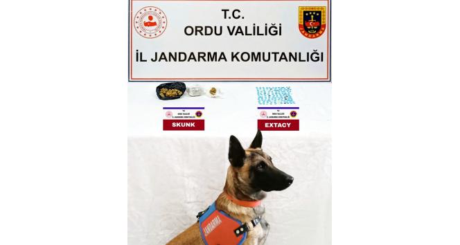 Ordu’da jandarma ekiplerinden uyuşturucu ve kaçak tütün operasyonu