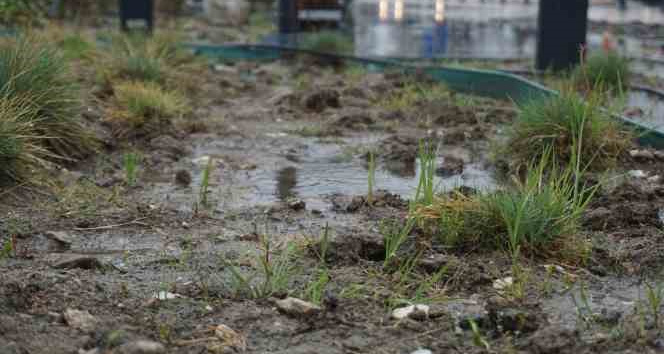 Yağmur toprağa can suyu, çiftçiye umut oldu