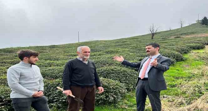 Of Ziraat Odası Başkanı Saral: "2022 yılı yaş çay destekleme parasının tam ödenmesini istiyoruz"