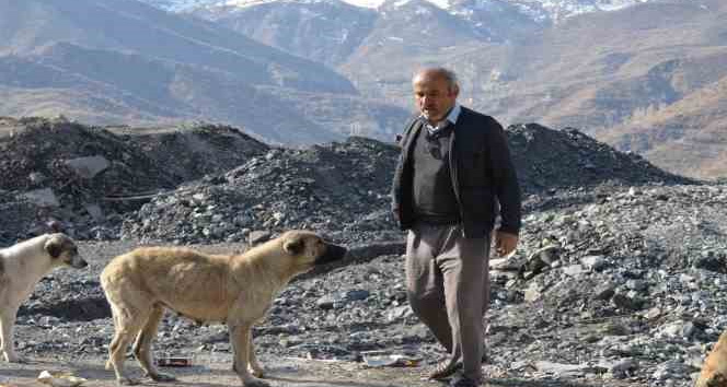 Hayırsever vatandaş sokak köpekleri için 30 kilometre yol kat ediyor