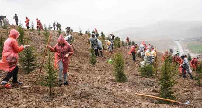 6 Şubat 2023 Deprem Şehitleri Hatıra Ormanı’nda 435 fidan toprakla buluştu