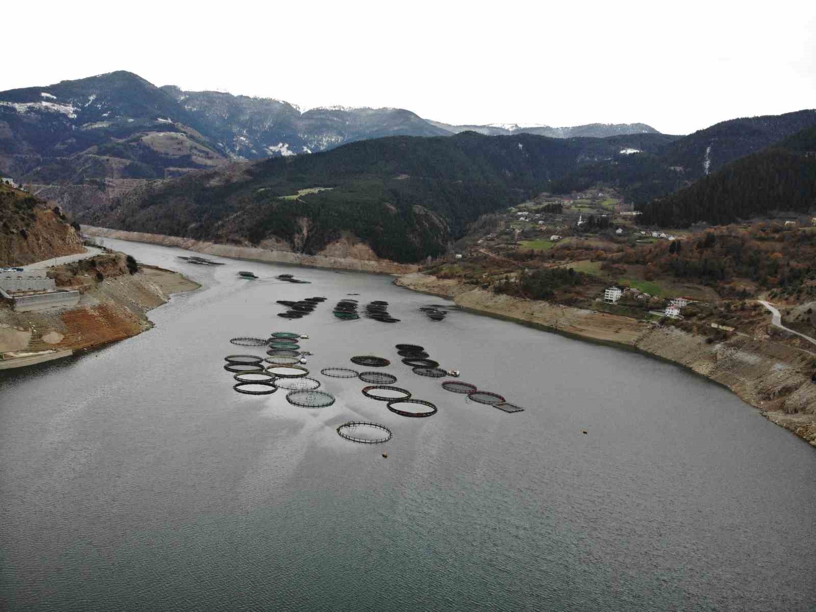 Gümüşhane’nin karlı dağlarının arasından dünyaya balık ihracatı