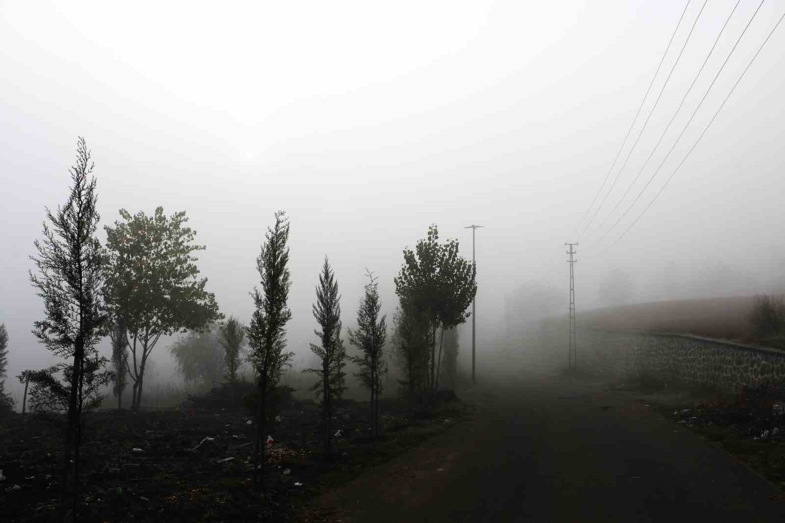 Diyarbakrda etkili olan sis, kartpostallk grnt oluturdu
