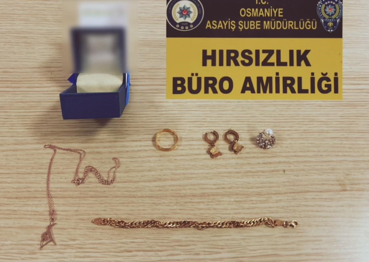 Osmaniye’de hırsızlara yönelik operasyonda 7 kişi tutuklandı