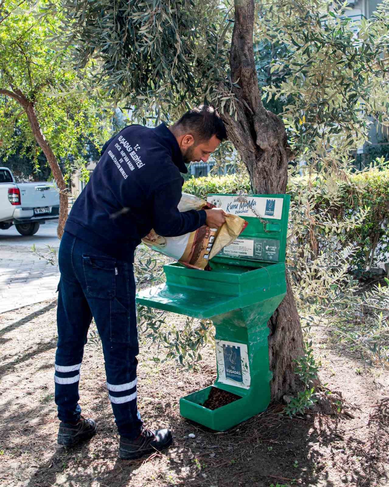 Can dostların yuvaları kışa hazır