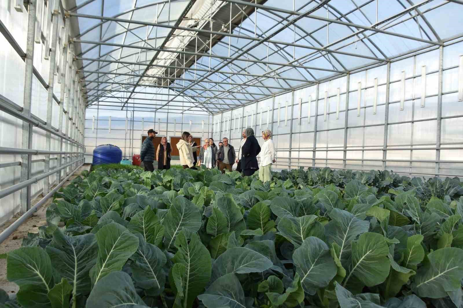 Niksar’da bilinçli üretim için çalışıyorlar