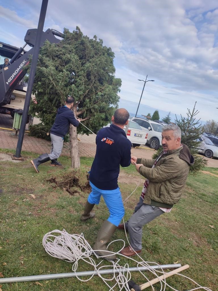 ZBE&Uuml;&rsquo;de Fırtınada Zarar G&ouml;ren 68 Ağaca Destek Yapıldı
