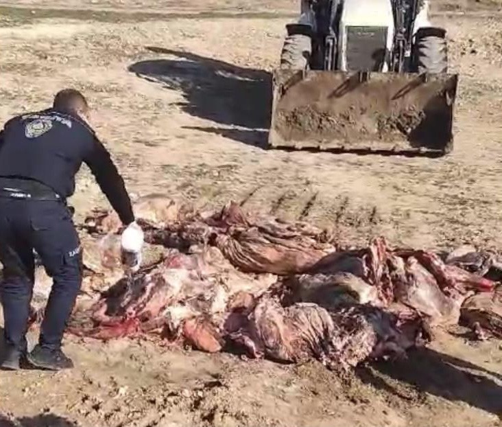 Batman’da 1 ton 150 kilo et imha edildi