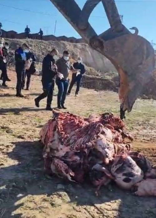 Batman&rsquo;da 1 ton 150 kilo et imha edildi
