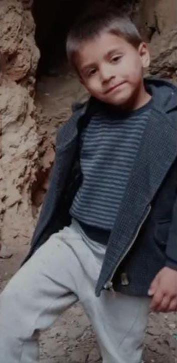 7 yaşındaki çocuk, sulama havuzundaki ördeği yakalamak isterken boğuldu
