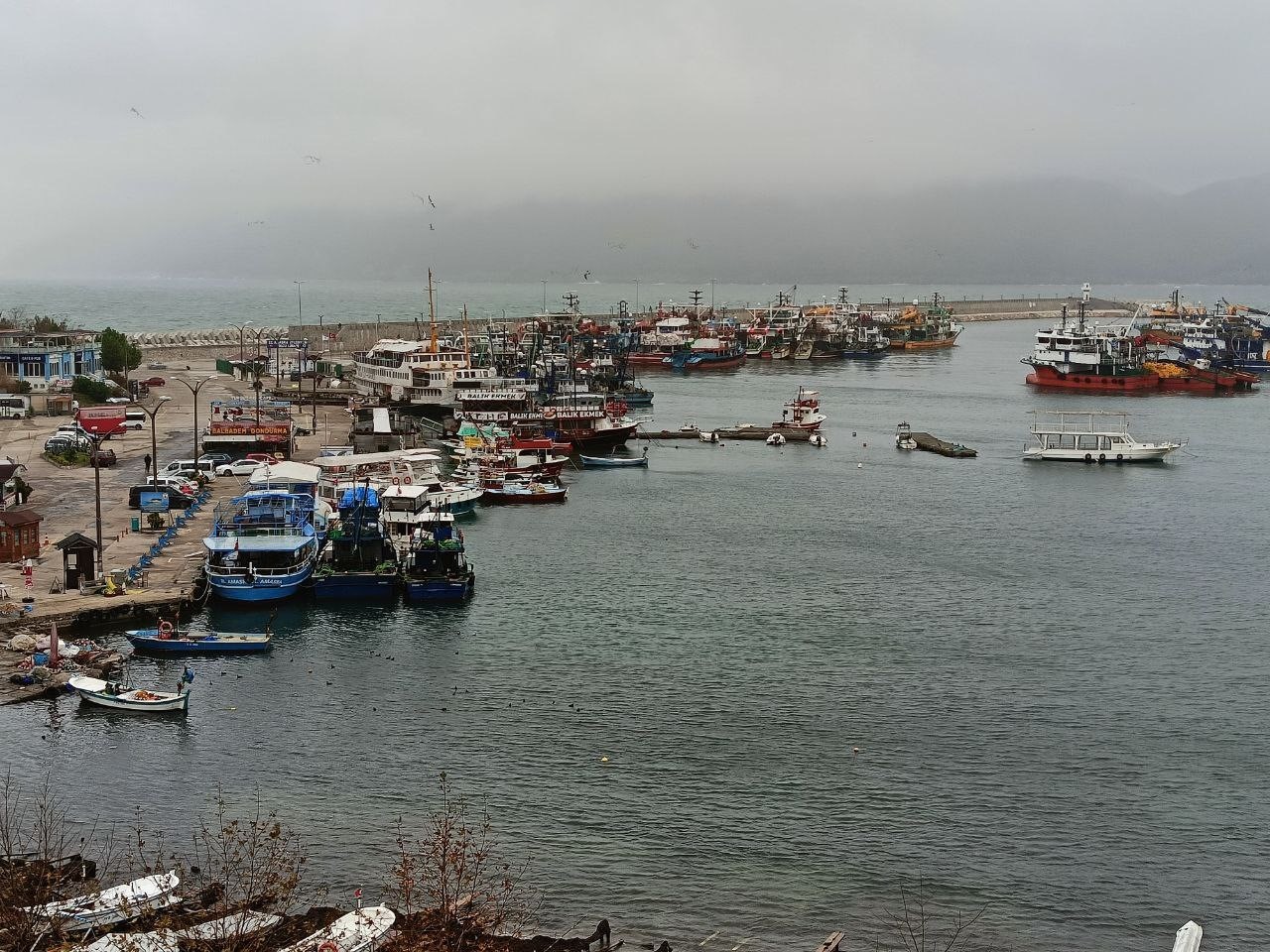 Şiddetli poyraz nedeniyle balıkçı tekneleri Amasra Limanı’na sığındı