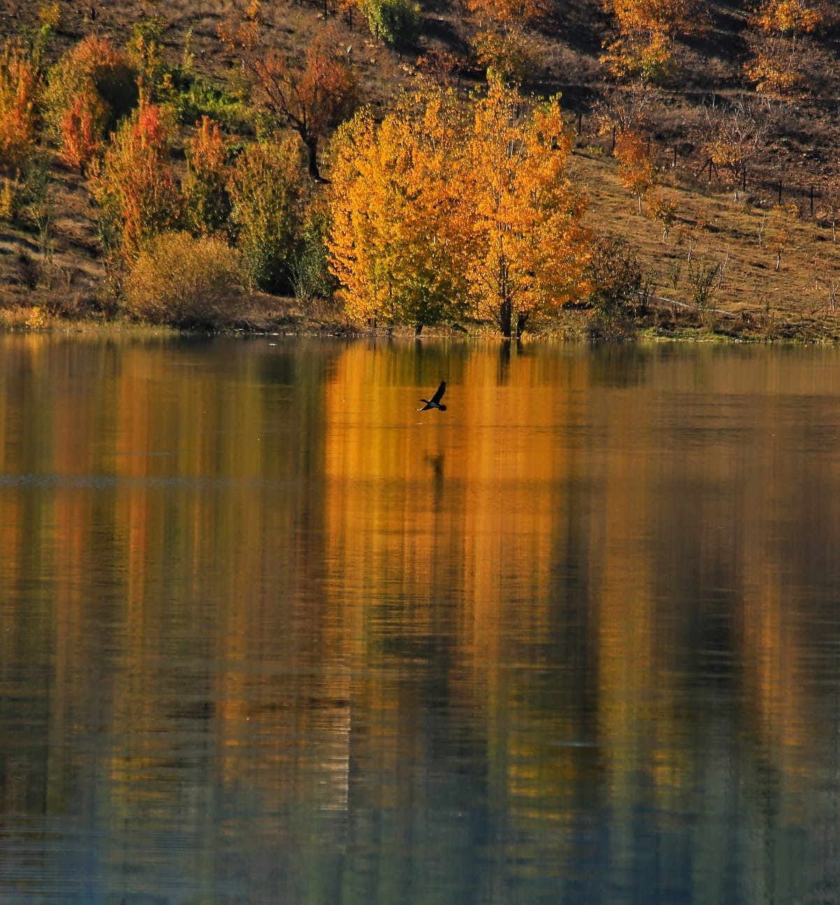 Kahramanmaraş Suçatı kartposttallık görüntüler oluşturuyor