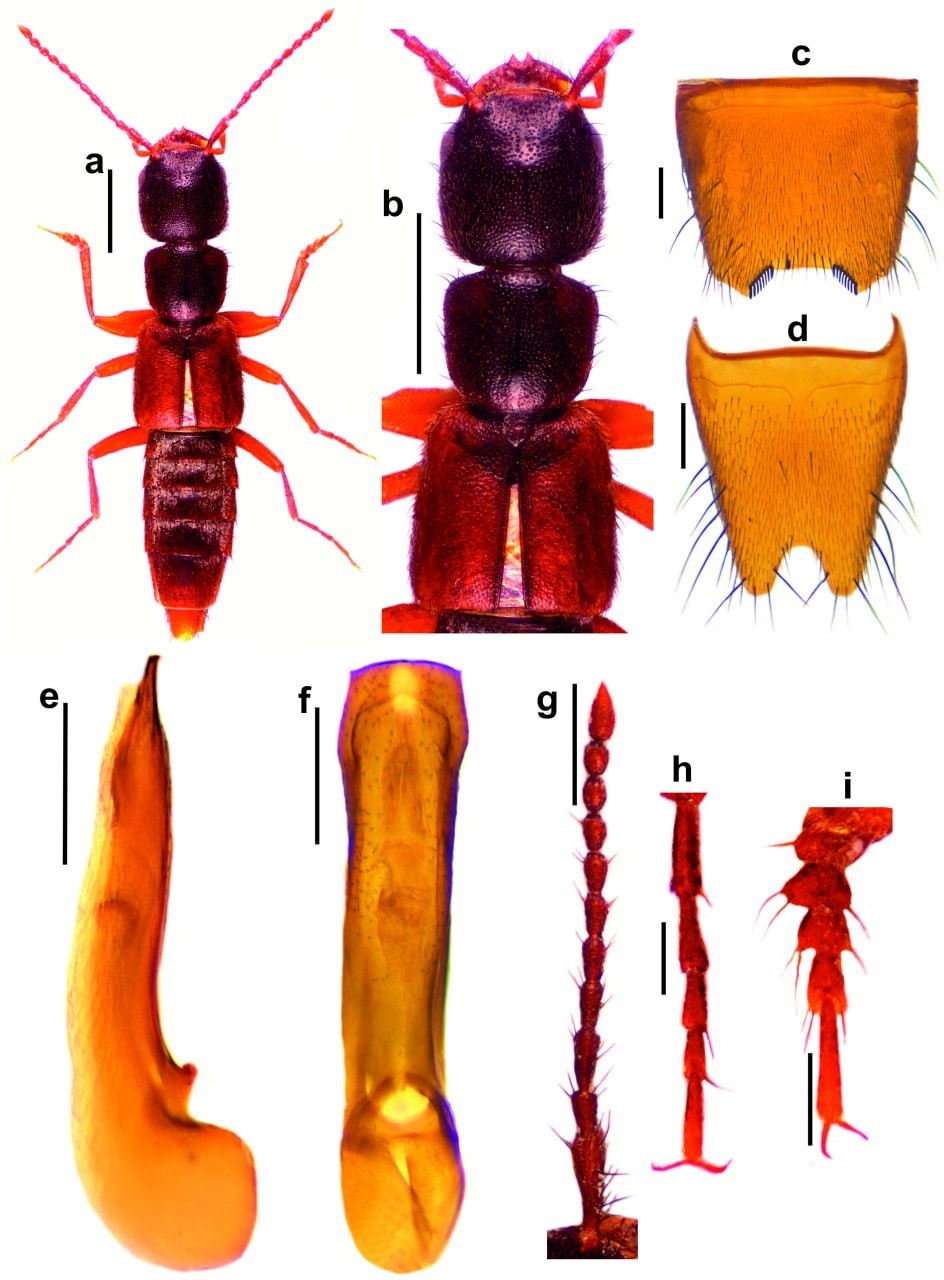 Bilim d&uuml;nyasını heyecanlandıran keşif
