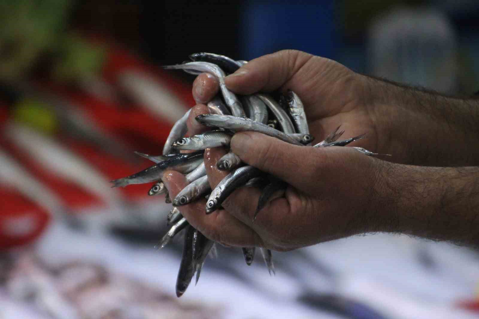 Ordu’da hamsi 25 liraya geriledi: Vatandaşlar yoğunluk oluşturdu