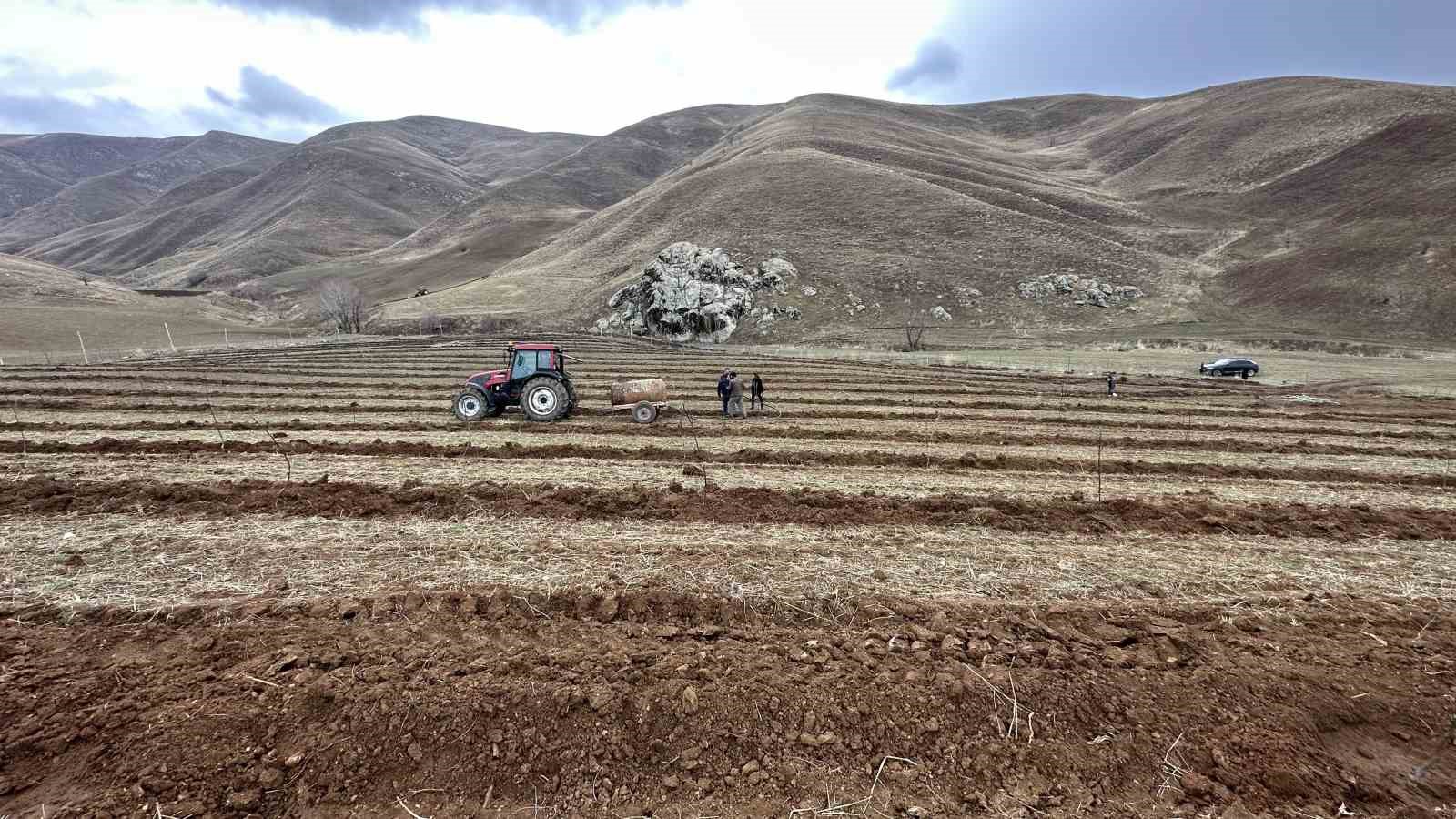 Muhyettin amca 40 yıllık hayalini gerçekleştirdi: 15 dönümlük arazisine 500 meyve fidanı dikti
