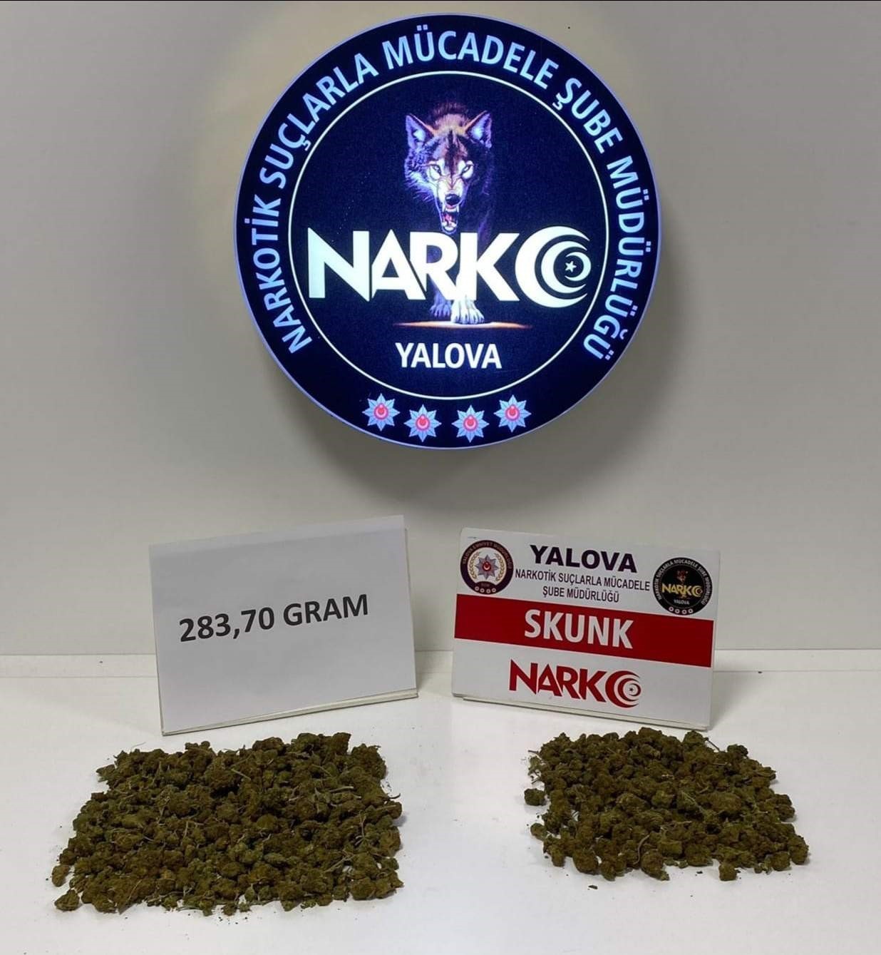 Yalova’da uyuşturucu operasyonu: 1 tutuklama