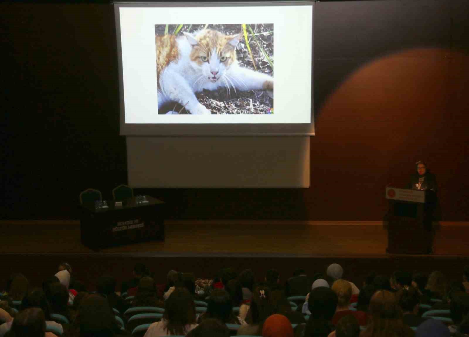 NEV&Uuml;&rsquo;de "Kent Yaşamında Sokak Hayvanları&rdquo; konulu seminer d&uuml;zenlendi
